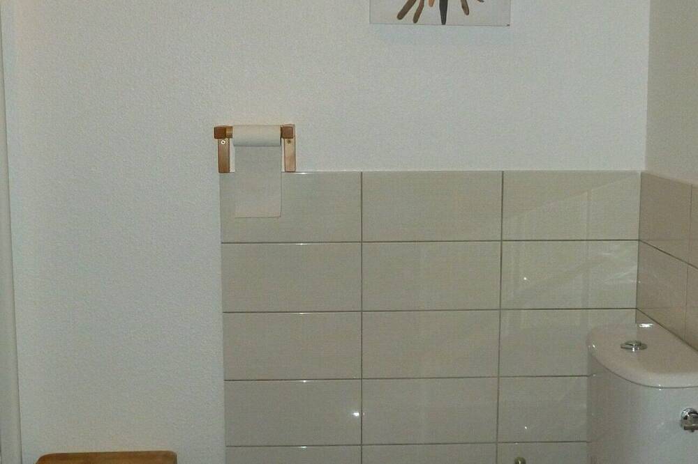 Appartement entier, Grd Appart De Montagne 8/9 Pers. Face Aux Pistes De Ski- Wifi in Le Lioran, Laveissière
