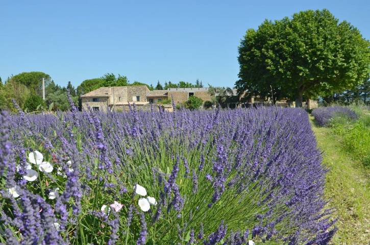 Chambre d’hôte pour 2 personnes, avec sauna et terrasse ainsi que vue et piscine à Valréas - 2