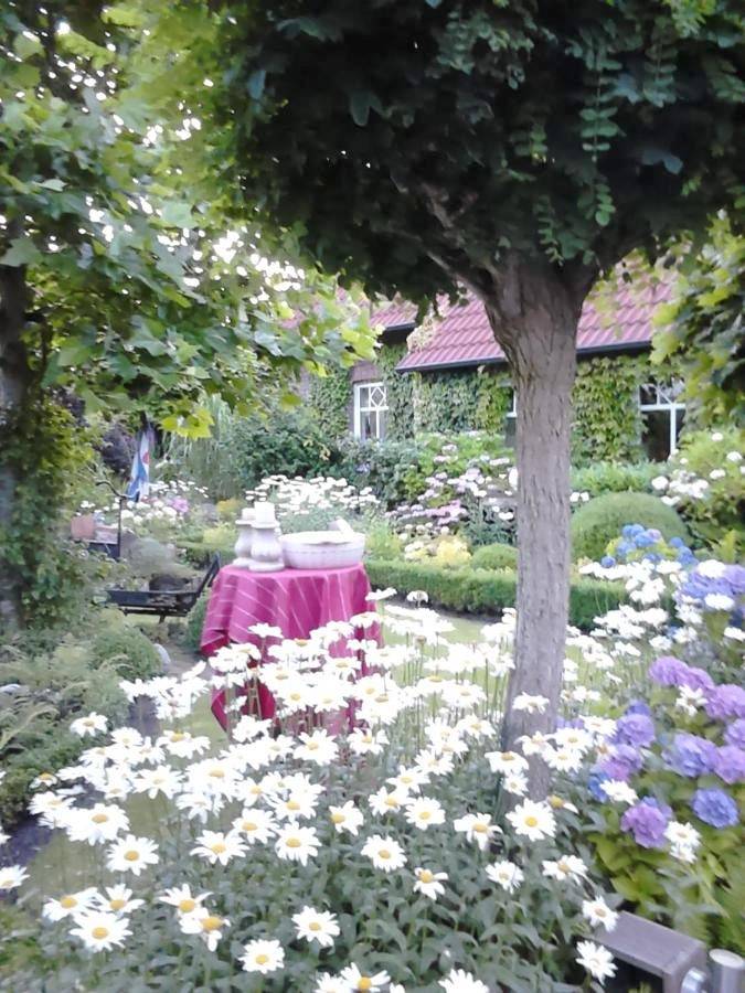 Ganze Wohnung, Ferienhaus Zaunkönig in Eversmeer, Landkreis Wittmund