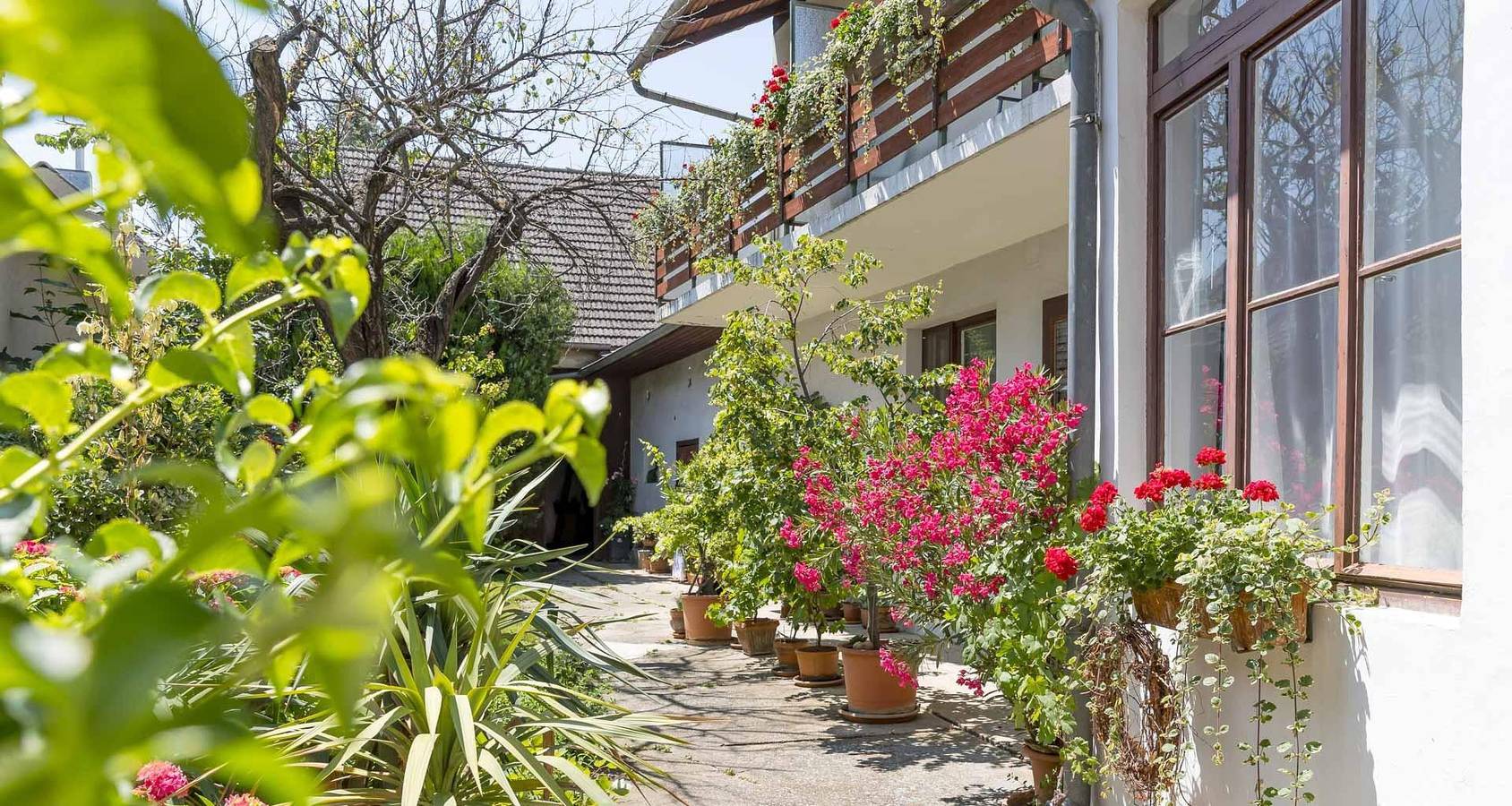 Ganze Ferienwohnung, Doppelzimmer mit Dusche, Wc, 1-2 Nächte in Marktgemeinde Podersdorf am See, Neusiedlersee-Hügelland