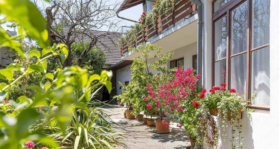 Ferienwohnung für 2 Personen, mit Balkon und Garten, kinderfreundlich am Neusiedler See - 2