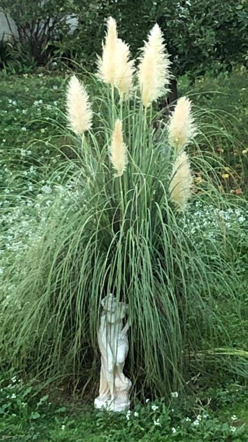 Location de vacances pour 2 personnes, avec jardin et vue à Introdacqua - 4