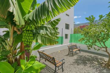 Gîte pour 5 personnes, avec vue et jardin dans Guimar