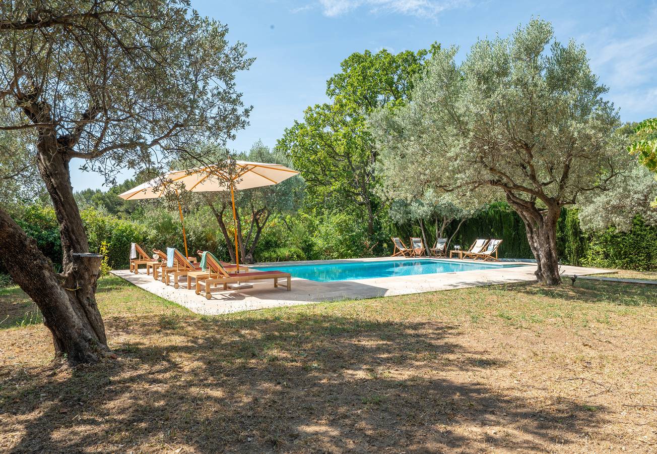 Oliviers de Bargemon in Bargemon, Draguignan region