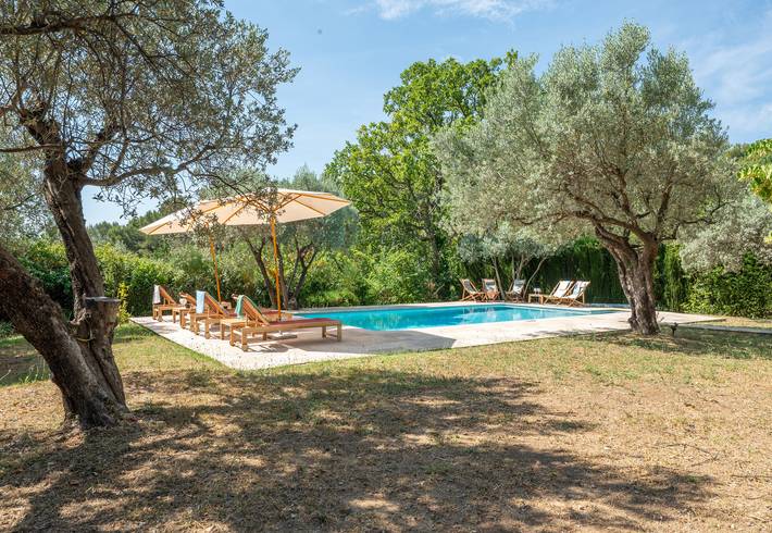 Oliviers de Bargemon in Bargemon, Draguignan region
