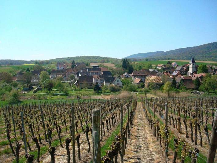 Location de vacances pour 9 personnes, avec Jardin et Vue à Cleebourg - 3