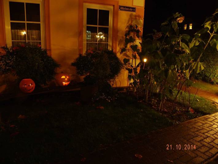 Ferienwohnung für 3 Personen, mit Garten, kinderfreundlich in Lubmin - 2