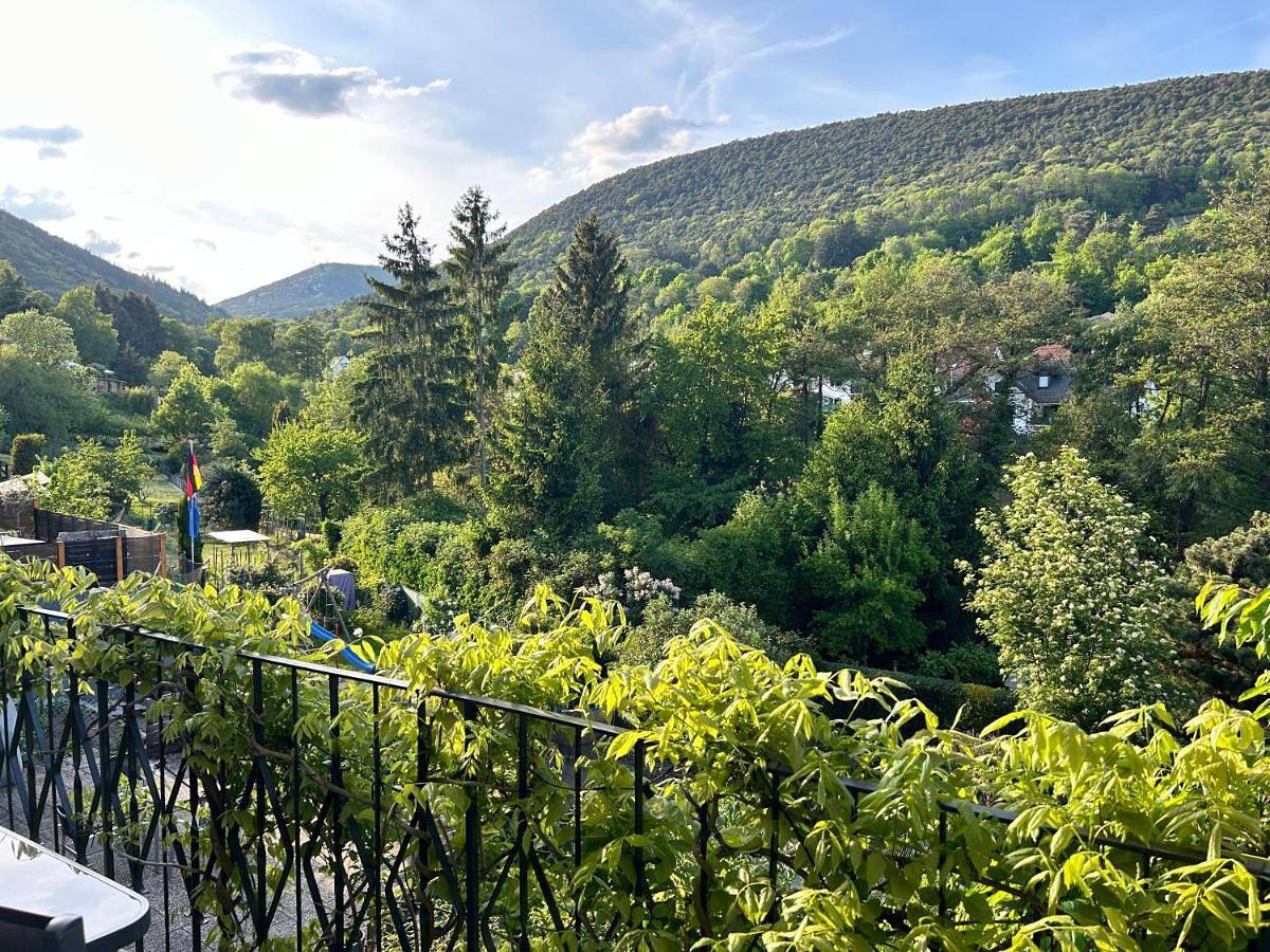 Ganze Wohnung, One-Bedroom Apartment in Sankt Martin, Südliche Weinstraße