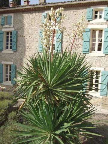 Maison d’hôte pour 2 personnes, avec vue et piscine ainsi que jardin et terrasse à Ladern-sur-Lauquet