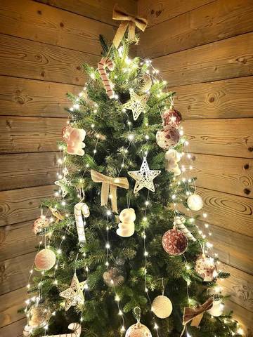Gîte pour 8 Personnes dans Valloire, Région de Saint-Jean-de-Maurienne, Photo 3