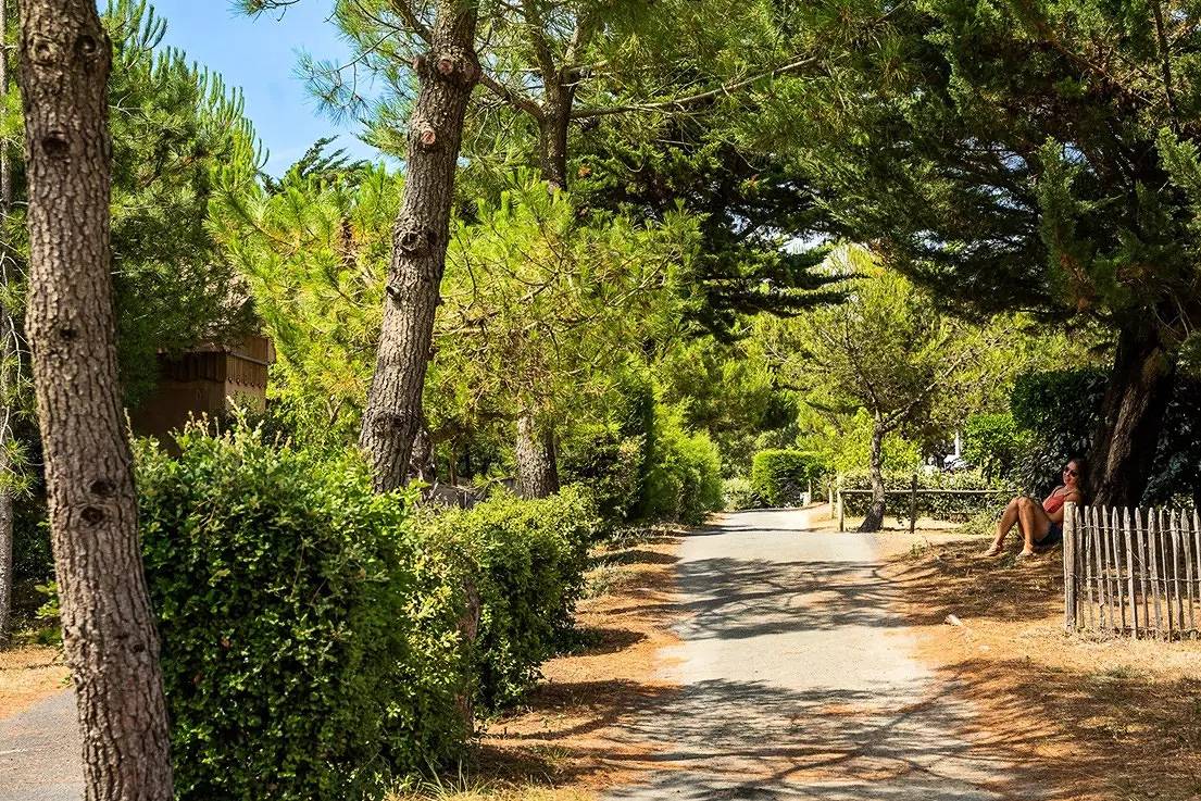 Mobil-Home 4 Pièces 6 personnes + Tv in Saint-Hilaire-de-Riez, Vendée