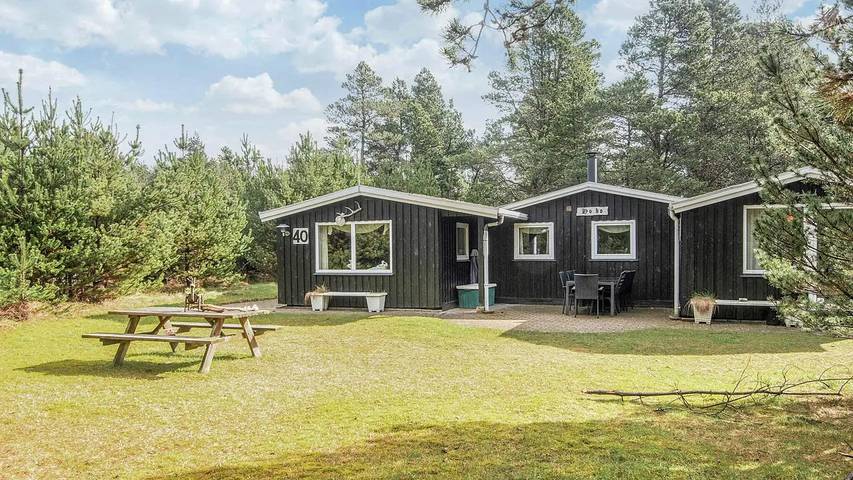 Ferieudlejning for 7 personer, med terrasse, husdyr tilladt i Ho
