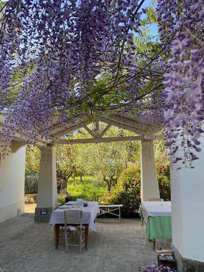 Gîte pour 2 personnes, avec piscine ainsi que vue et jardin dans Basilicate - 2