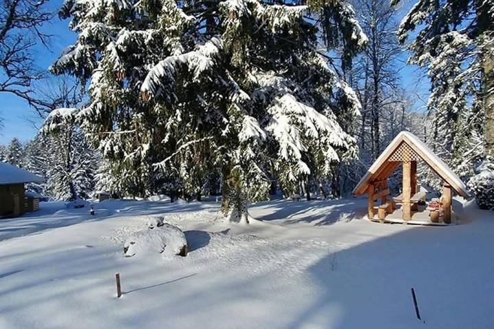 Gîte pour 5 personnes, avec jardin et vue, animaux acceptés à Gerbépal - 2