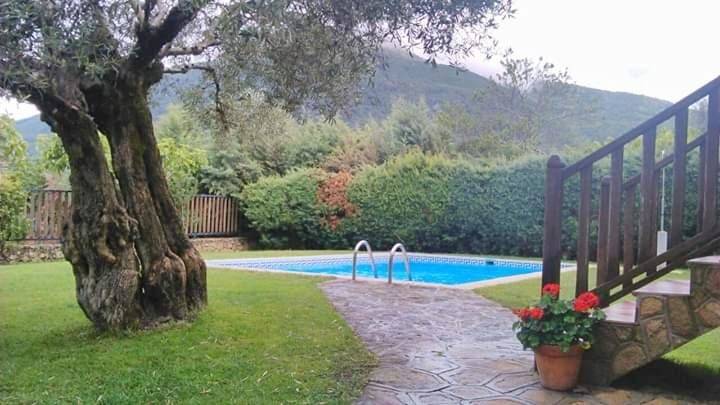 Casa de vacaciones para 14 personas, con vistas además de piscina y jardín, Se admiten mascotas en Valle del Tiétar - 4