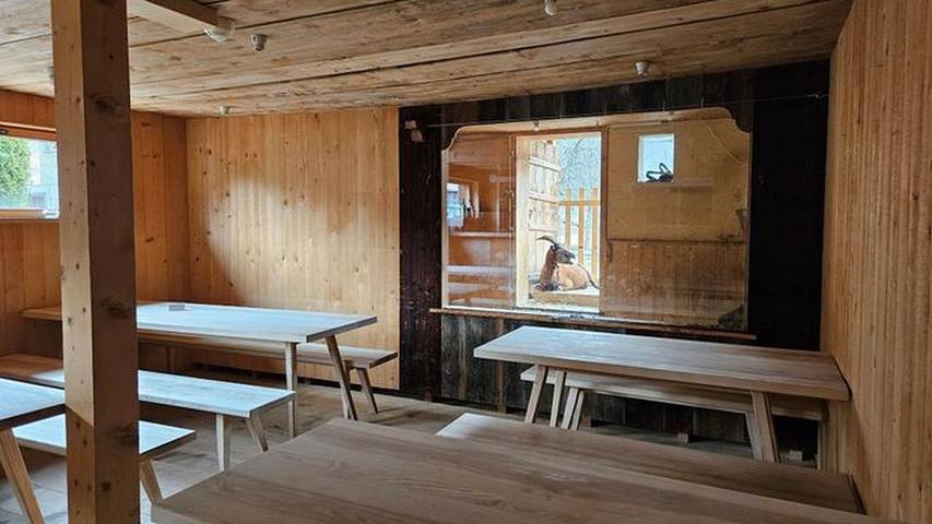 Hotel voor 4 personen, met sauna en terras in Mellau