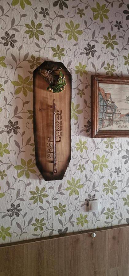 Ganze Wohnung, Apartment - Ground Floor in Quedlinburg, Harzvorland