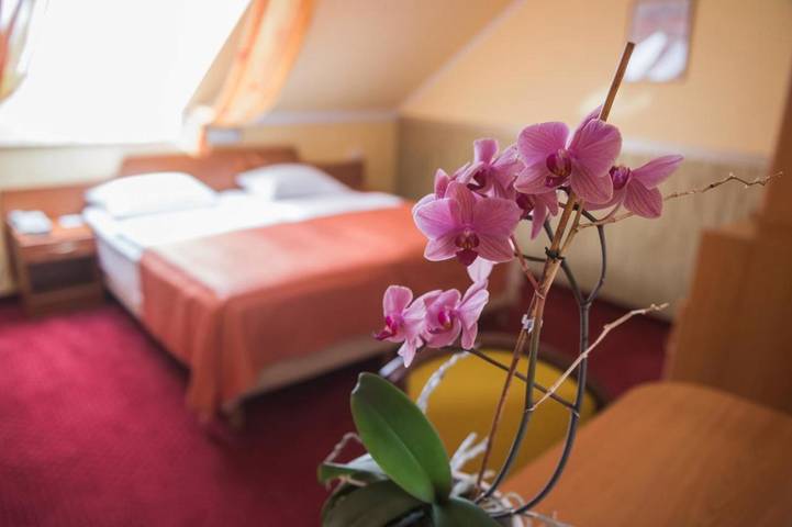Hotel dla 4 osób, z sauna i jacuzzi oraz ogród w Eger