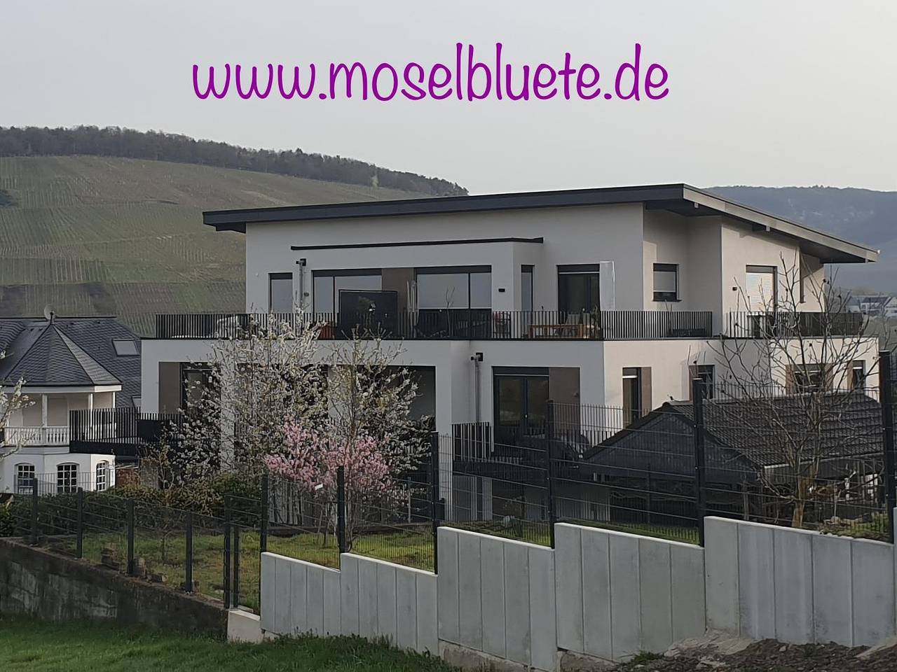 Ganze Ferienwohnung, Ferienwohnung Moselblüte in Andel, Bernkastel-Kues