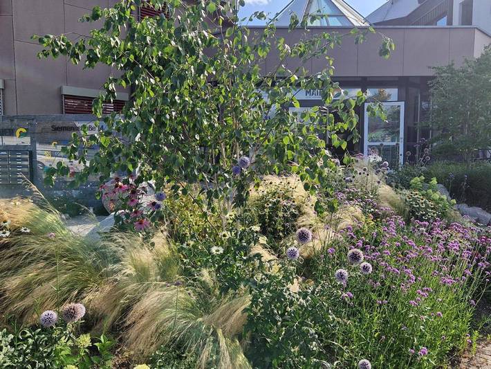 Gîte pour 3 personnes, avec jardin, adapté aux familles à Steinen - 4