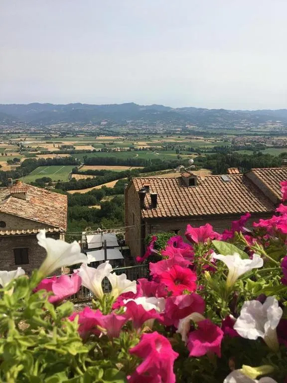 Appartamento vacanze per 3 persone, con terrazza e panorama, con animali domestici - 1