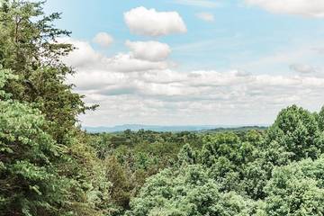 Camping for 6 Guests in Tennessee, USA, Picture 2