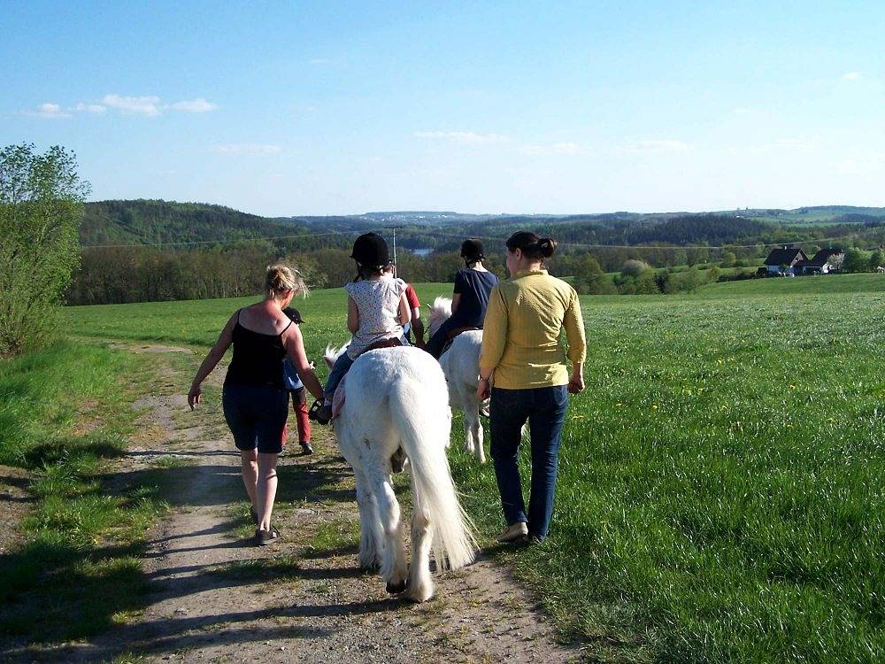 Pferd - Spaß - Entspannung - Villa zum Tiergehege in Zeulenroda in Staitz, Auma-Weidatal
