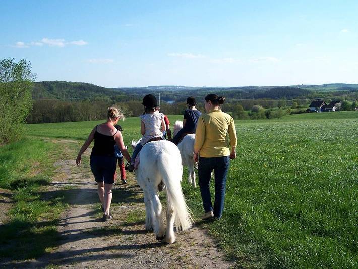 Pferd - Spaß - Entspannung - Villa zum Tiergehege in Zeulenroda in Staitz, Auma-Weidatal