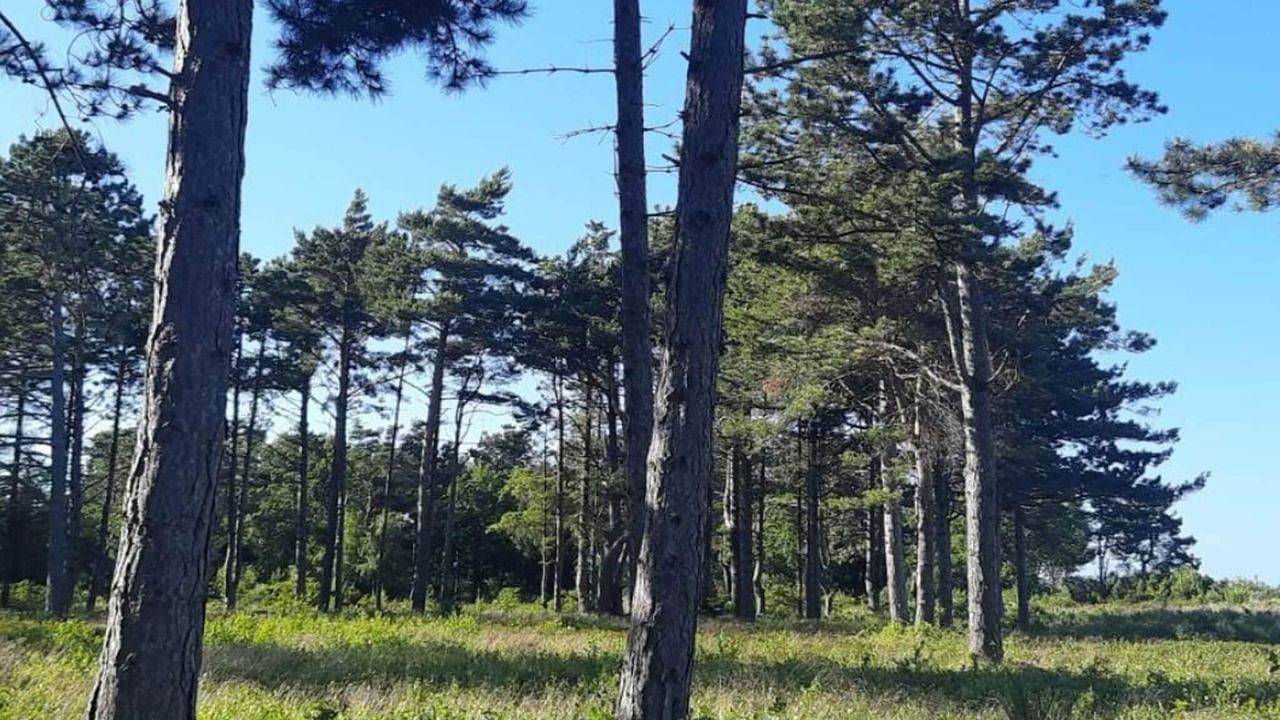 Ferienhaus für 5 Personen (42 m²) in Rørvig in Rørvig, Nordwestseeland