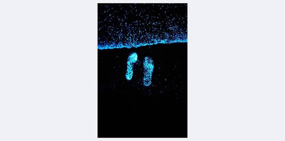 Ferienwohnung für 3 Personen, mit Ausblick und Terrasse sowie Garten auf den Malediven