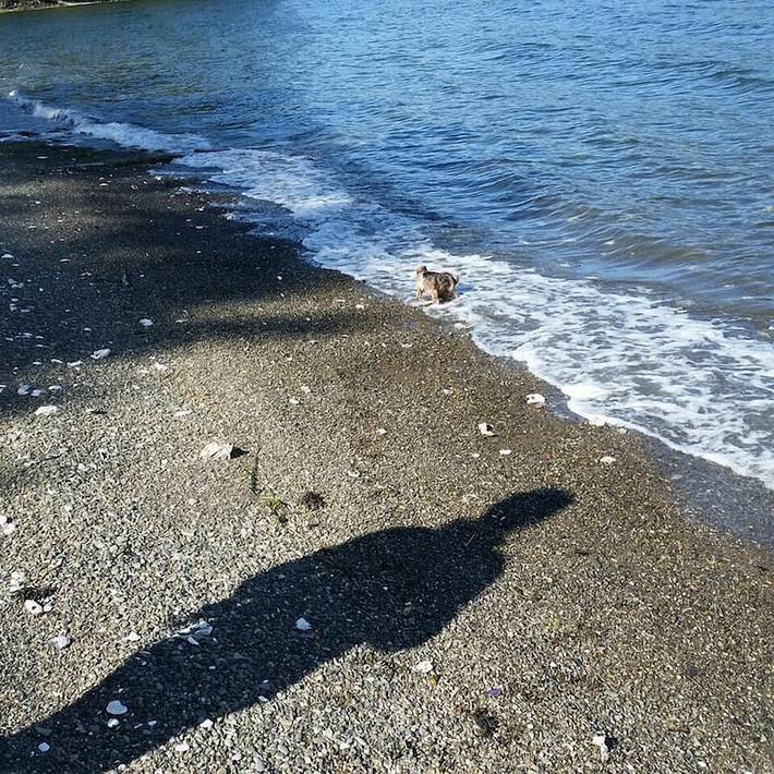 Vacation rental for 6 people, with terrace in Hood Canal