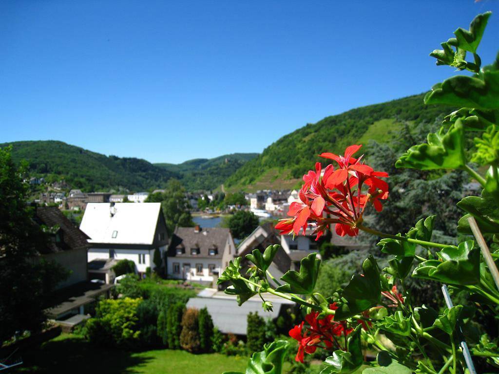 Ganze Ferienwohnung, Ferienwohnung "Burgblick" in Bullay, Traben-Trarbach und Umbegung