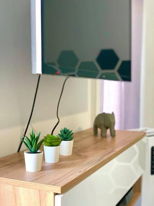 Gîte pour 4 personnes, avec terrasse dans Office De Tourisme De Toulon - 2