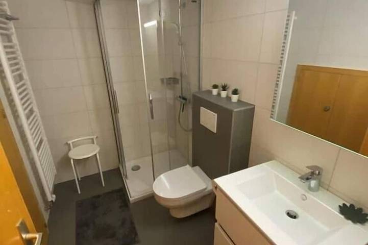 Ganze Wohnung, Außenansicht: kürzlich renovierte Wohnung auf dem Dachboden, 4. Stock mit Aufzug, Doppelhaus, Balkon in Saint Luc, Anniviers
