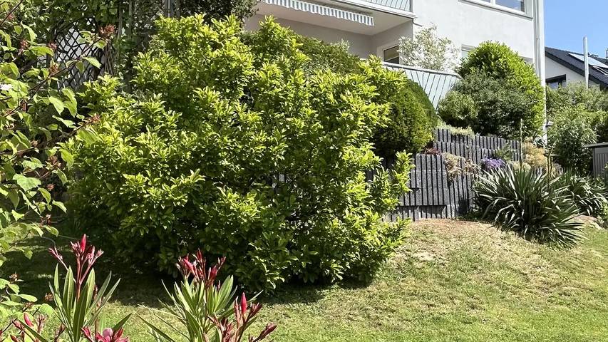 Ferienwohnung für 2 Personen, mit Garten in Einbeck - 3