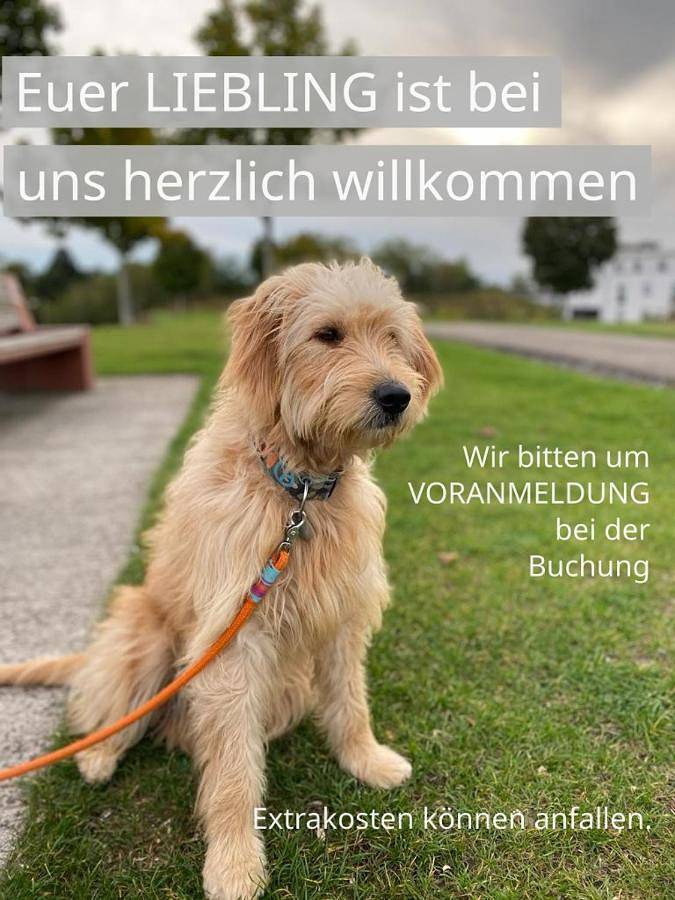 Ferienwohnung für 6 Personen, mit Balkon und Terrasse sowie Garten und Ausblick in Hamm - 2