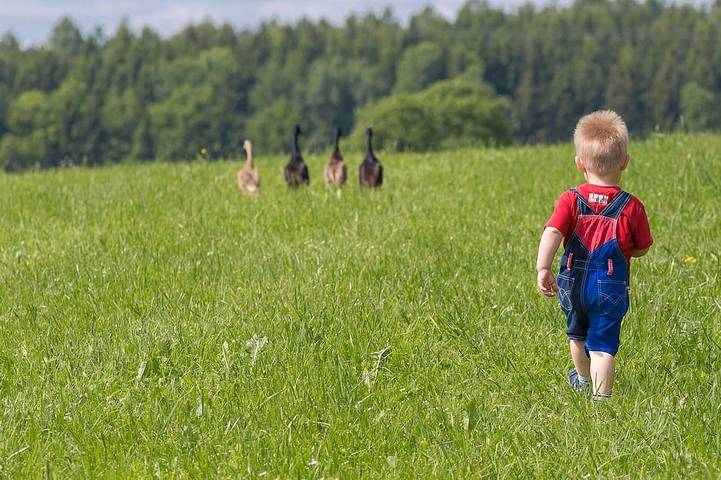Ganze Wohnung, Fewo \"Gänseblümchen\" mit Sonnenbalkon, inkl. Wlan in Bayerisch Schwaben