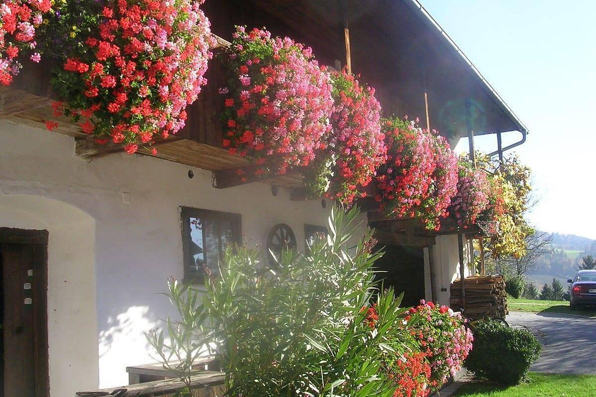 Ferienwohnung im alten Bauernhaus in Steirerland