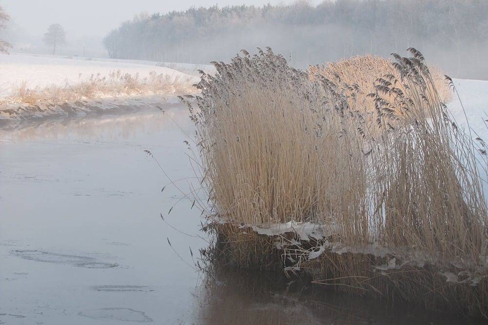 Ganze Wohnung, Ferienwohnung Schaa, 85105 - Ferienwohnung Schaa in Ostrhauderfehn, Nordseeküste