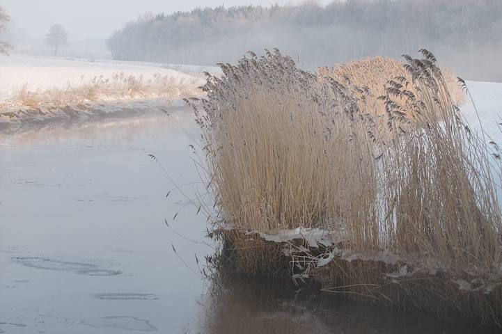 Ferienwohnung für 4 Personen, mit Garten in Ostrhauderfehn
