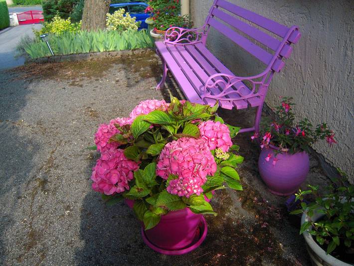 Chambre d’hôte pour 3 personnes, avec jardin dans Beaujolais - 3
