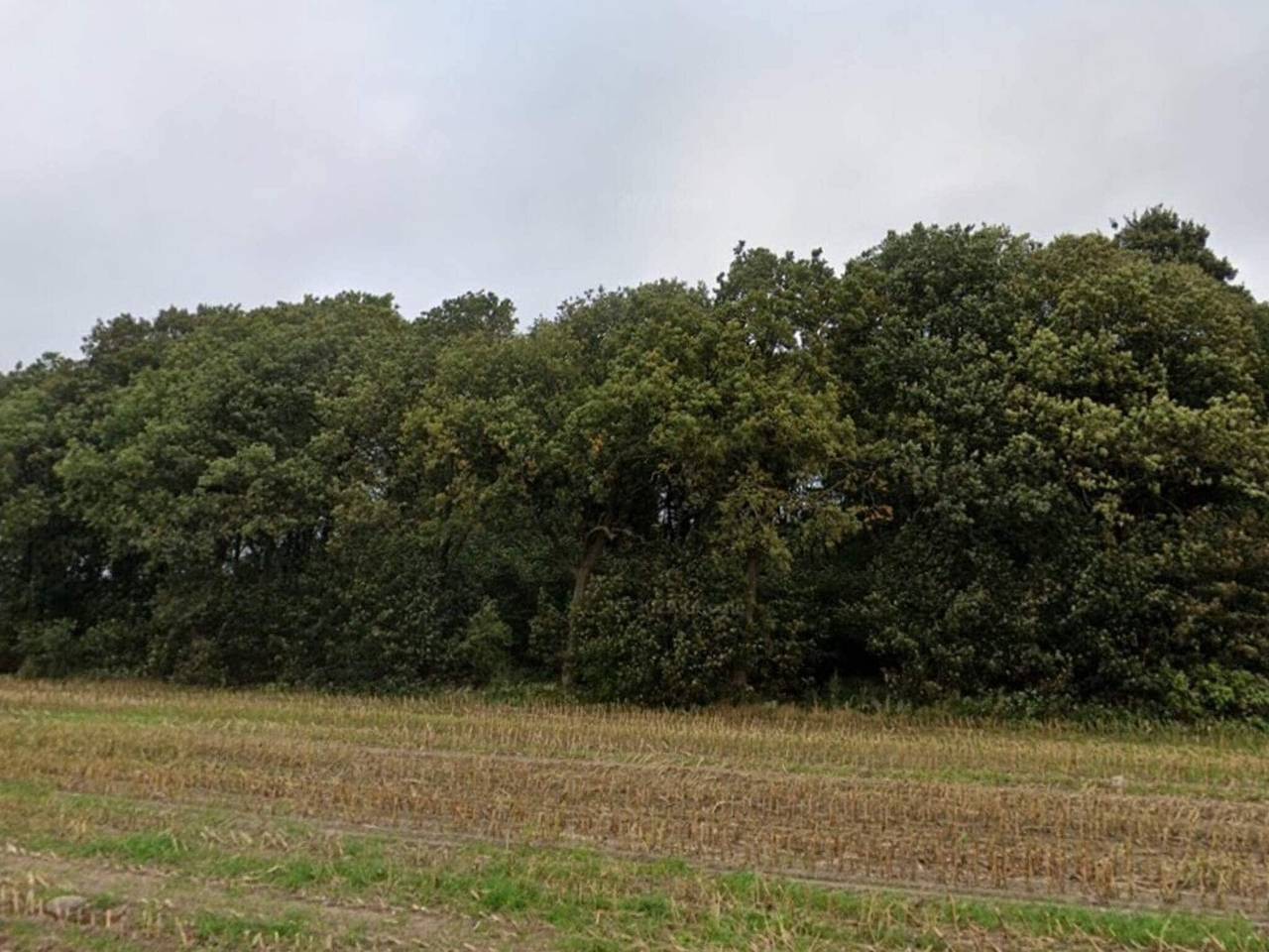 5 Sterne Ferienhaus in Hovborg in Hovborg, Vejen