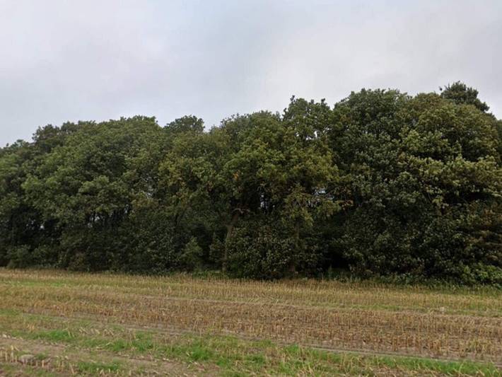 Ferienhaus für 4 Personen, mit Balkon und Garten, kinderfreundlich in Südjütland - 2