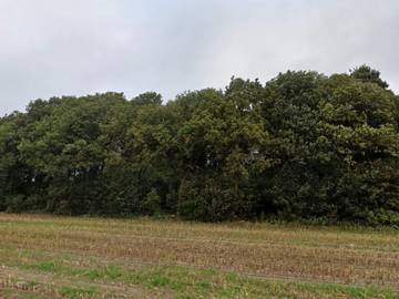 Ferienhaus für 4 Personen in Vejen, Südjütland, Bild 2