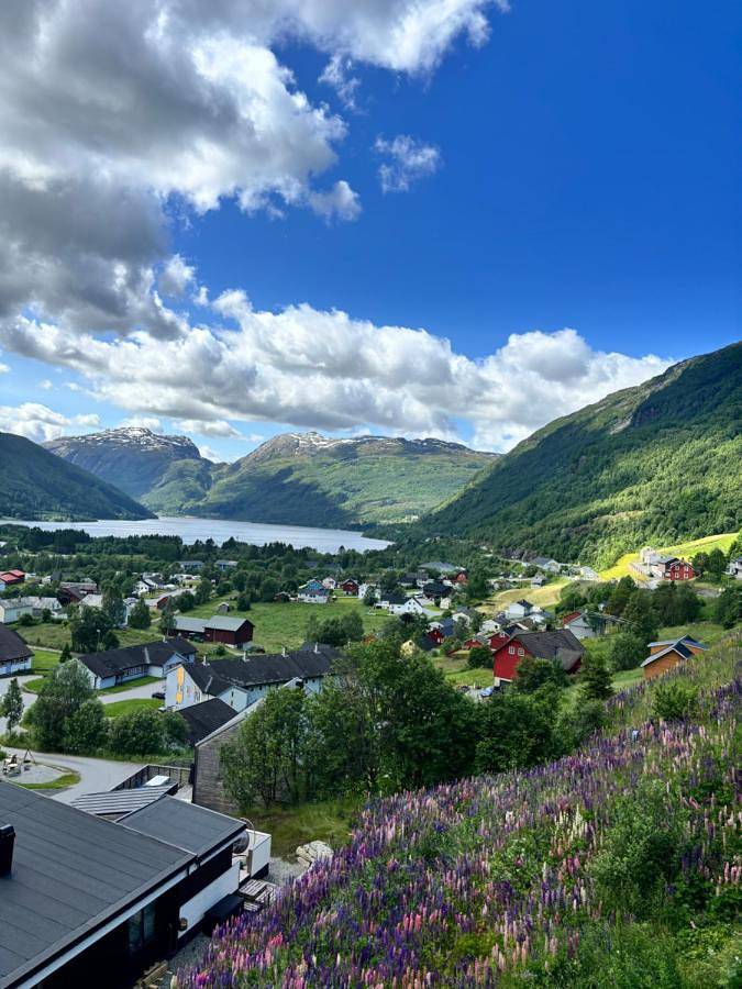 Røldal Overnatting in Røldal, Odda 