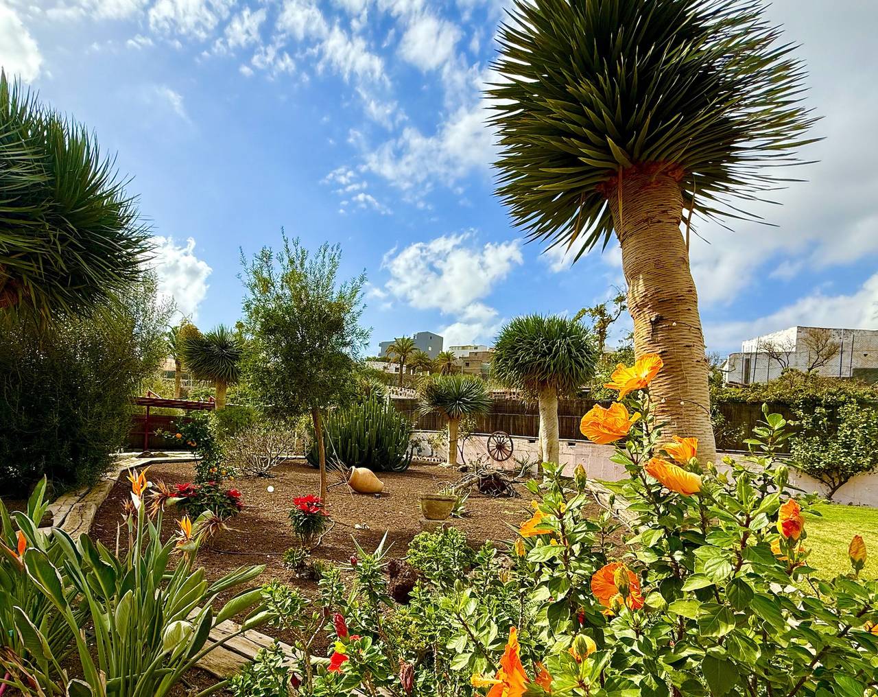 Parralito Garden Oasis – Private Finca auf Gran Canaria in Ingenio, Gran Canaria Osten