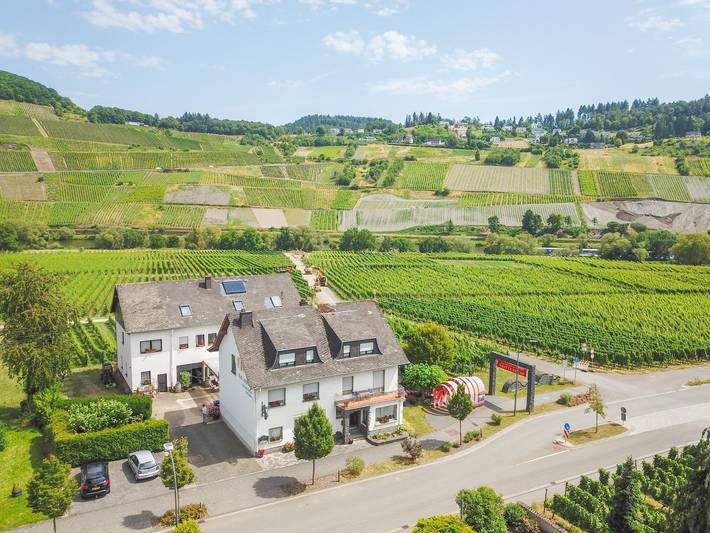 Ferienwohnung für 4 Personen, mit Balkon und Garten in Trittenheim