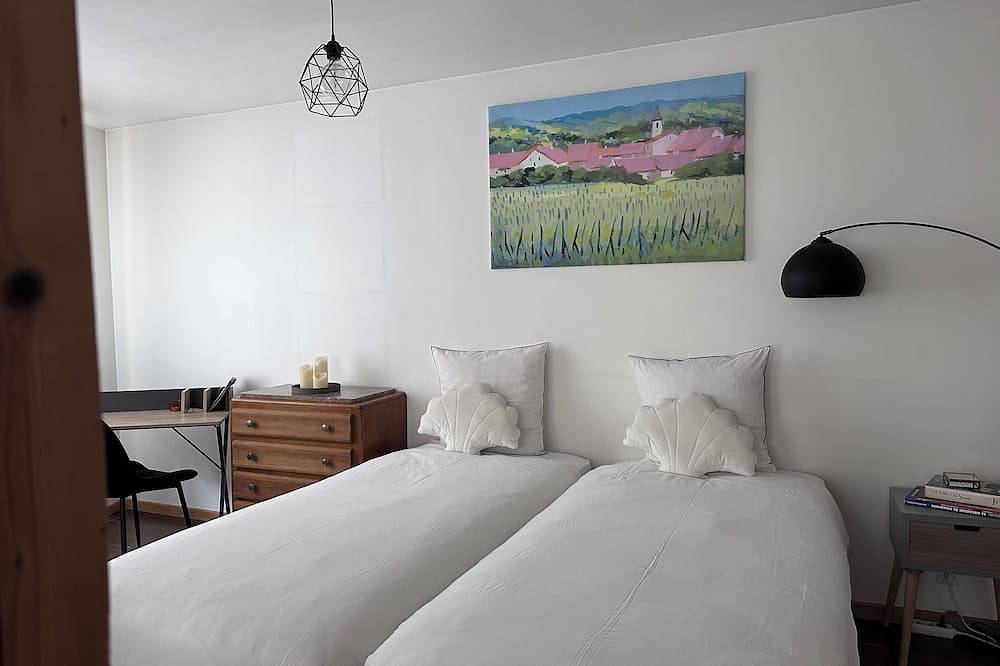 Entire apartment, 40m² equipped apartment, near Strasbourg and Parliament in Schiltigheim, Strasbourg region