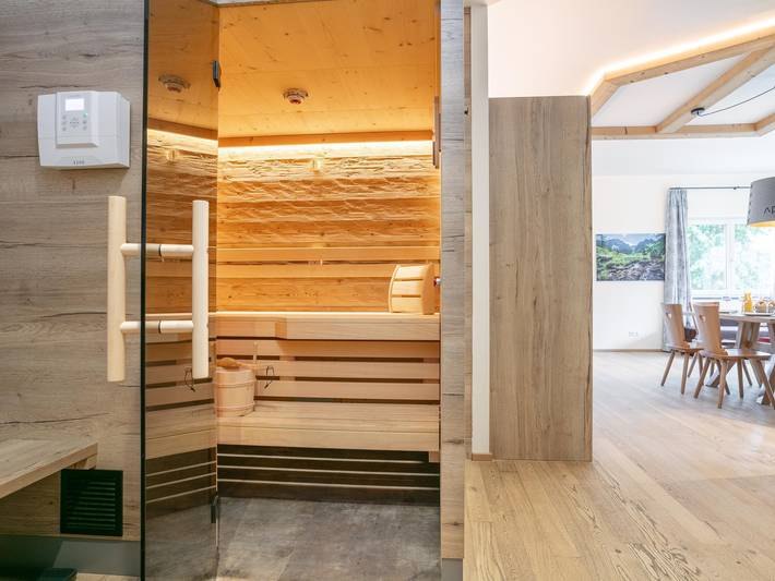 Ganze Wohnung, Wohnung mit privater Sauna und großer Terrasse in Haus, Schladming-Dachstein