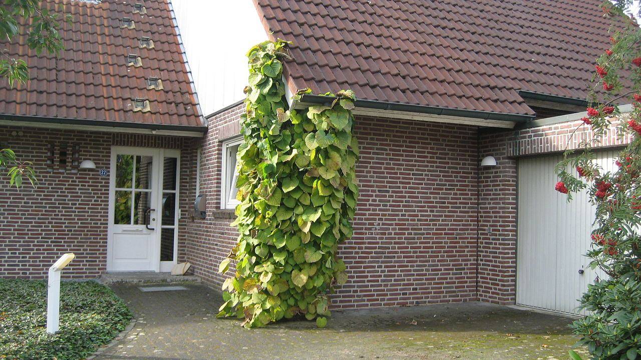 Ganze Ferienwohnung, Ferienwohnung für 3 Personen (73 m²) in Schüttorf in Schüttorf, Landkreis Grafschaft Bentheim